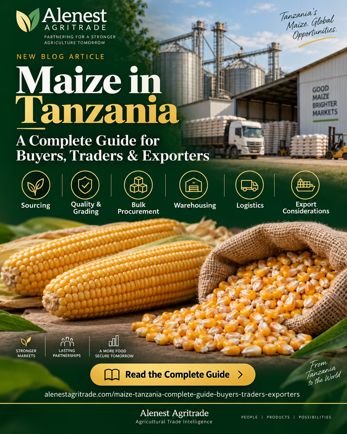 Maize in Tanzania commodity guide